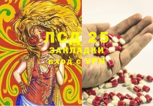 PSILOCYBIN Абаза